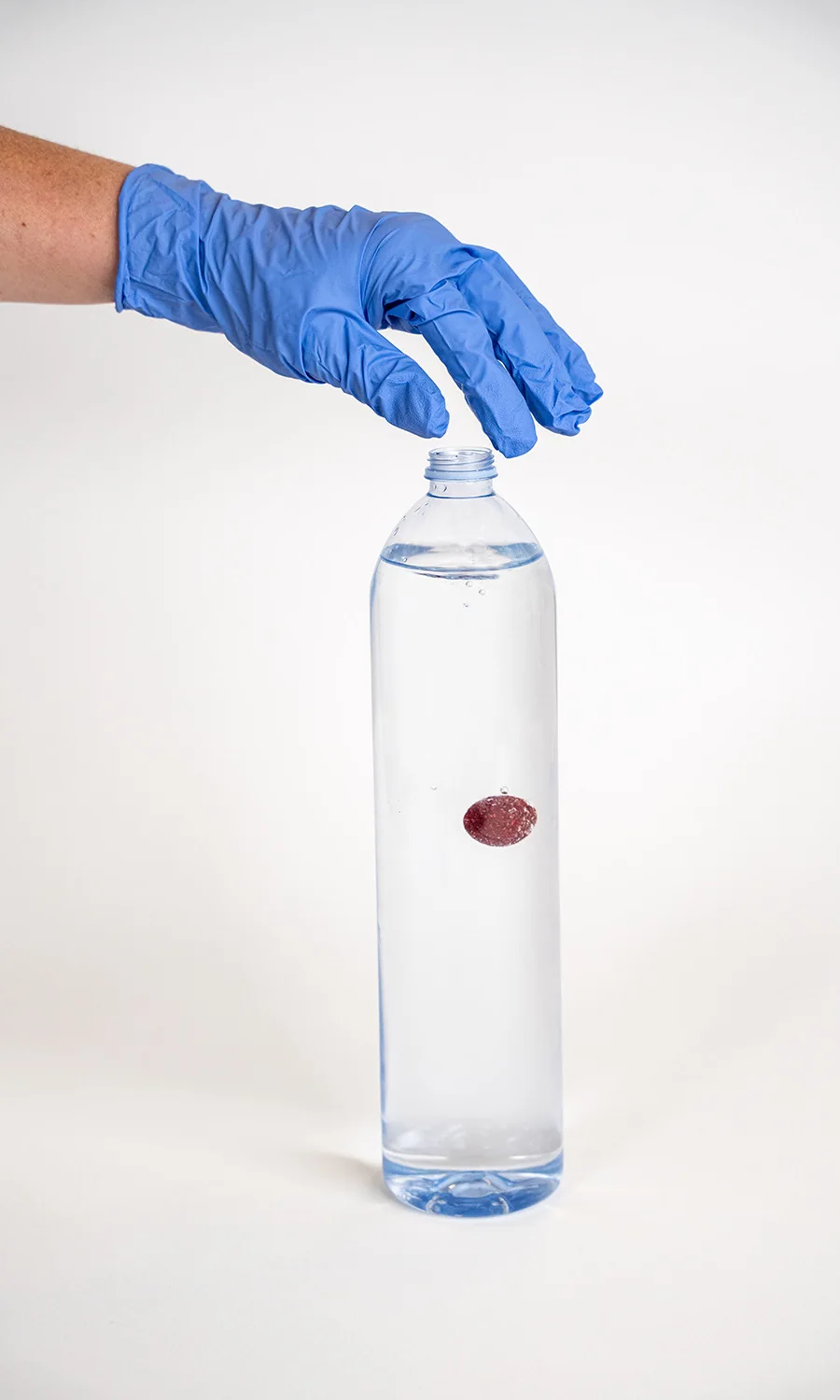 PURbonedough intact in a bottle of fluid